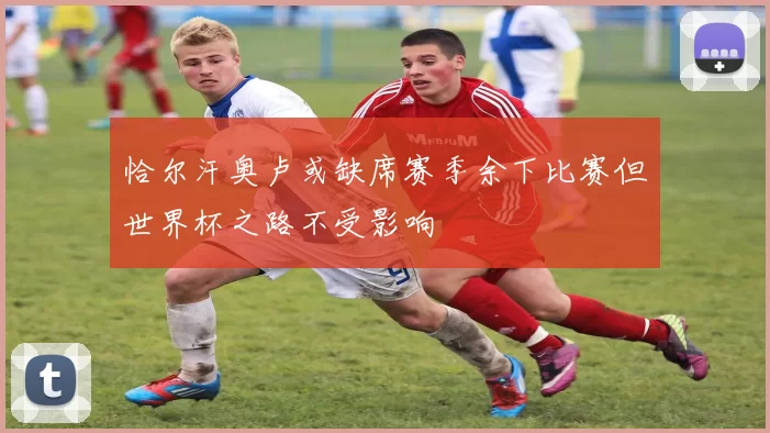 恰尔汗奥卢或缺席赛季余下比赛但世界杯之路不受影响